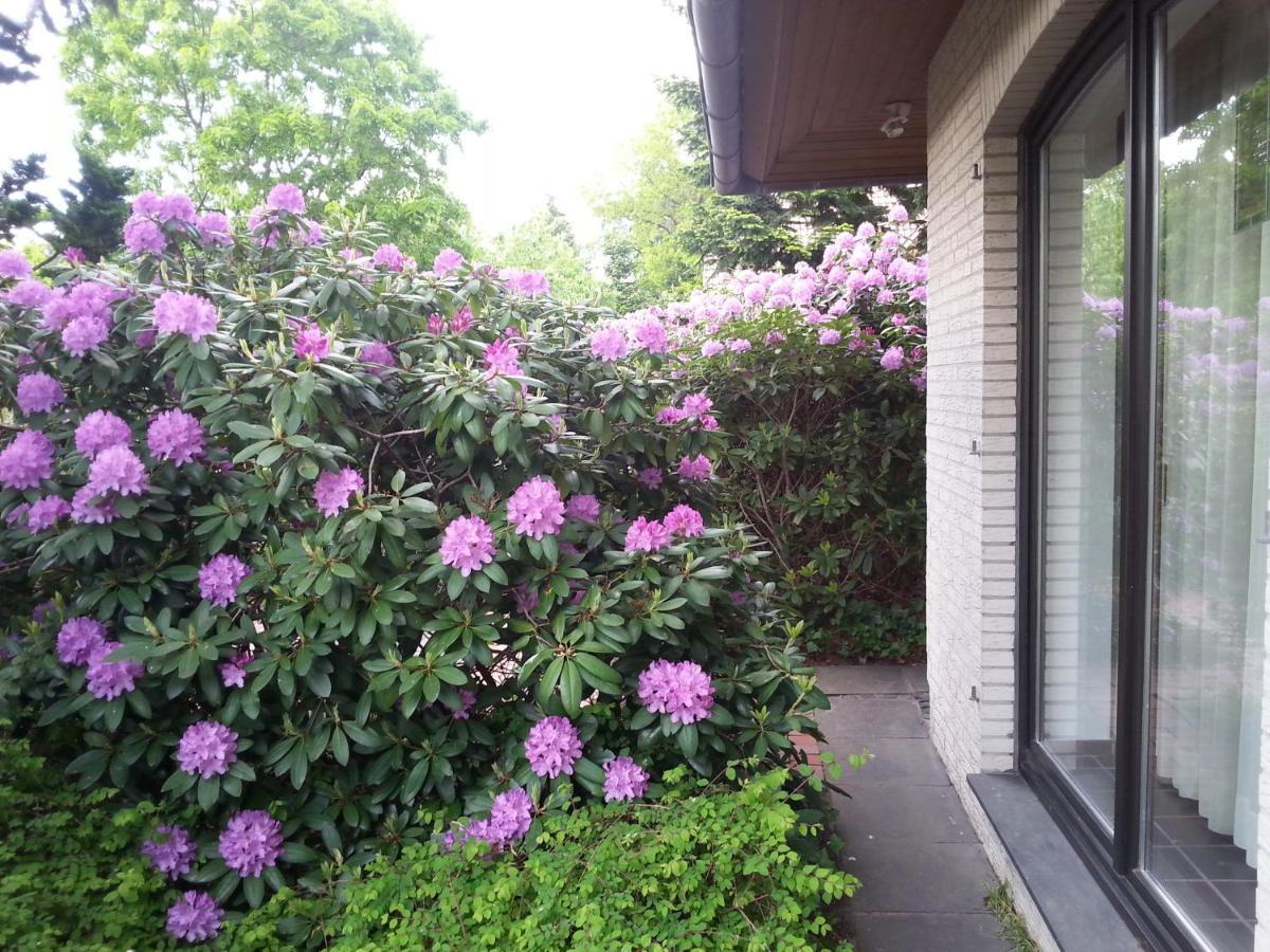 Apartment Schomaker-Fatmann Werlte Esterno foto